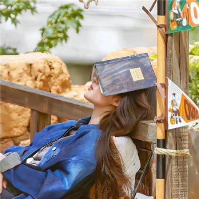 熊出没之丛林总动员